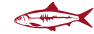Merentang.com